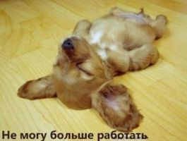 синдром хронической усталости